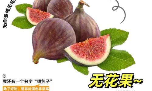 杭白菊搭配枸杞的功效-杭白菊搭配枸杞功效网 - 网站提供杭白菊搭配枸杞的功效小常识、杭白菊加枸杞的功效与作用